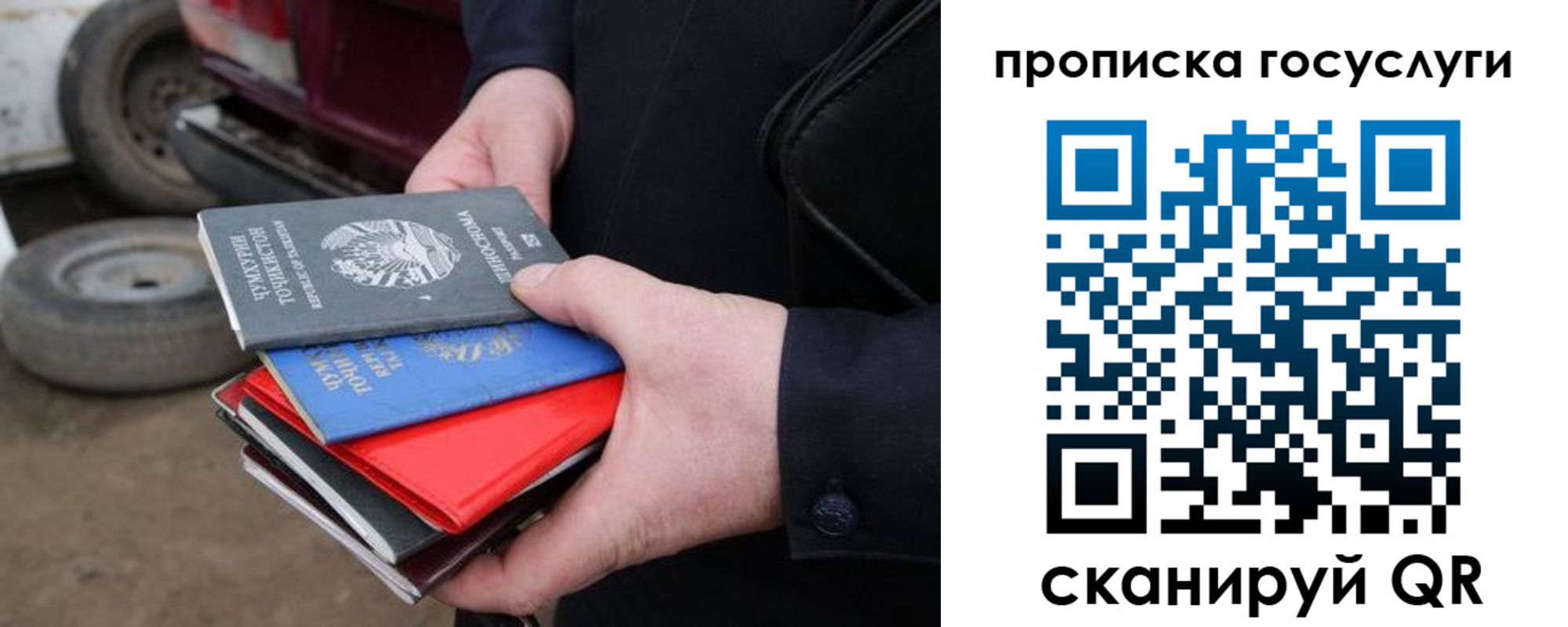 где прописаться в Светогорске